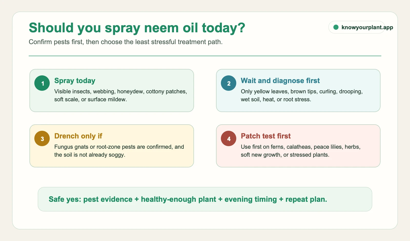 Neem oil spray-or-wait gates checking pest evidence, care stress, soil drench fit, and patch-test need