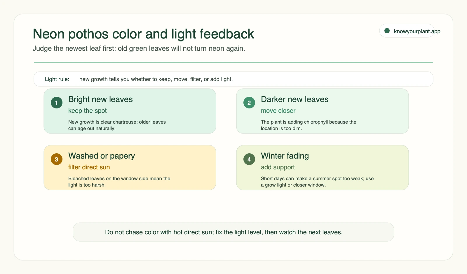 Neon pothos color and light feedback Neon pothos color and light feedback map showing bright new leaves dark green leaves washed leaves and winter fading