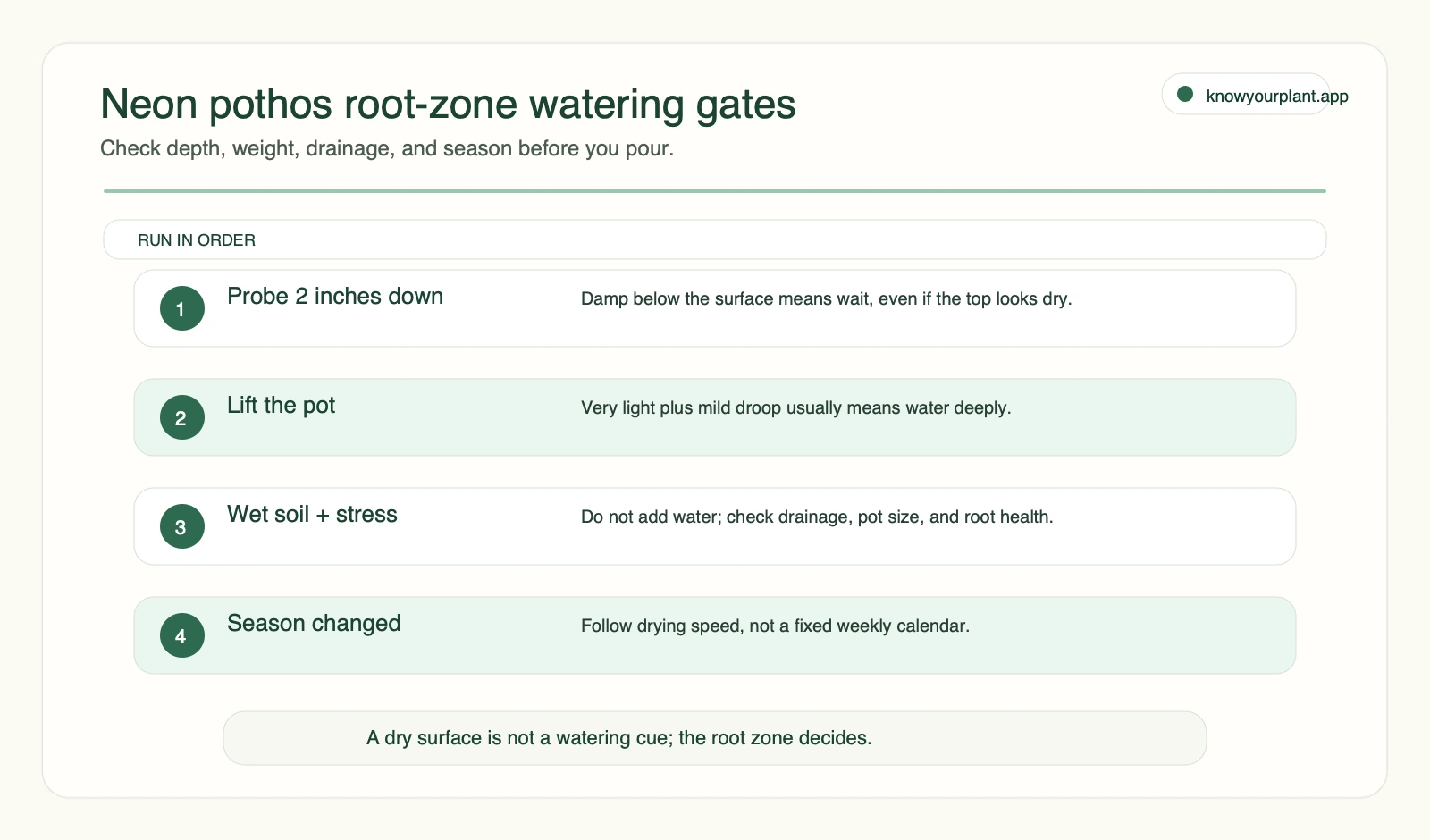 Neon pothos root-zone watering gates Neon pothos root-zone watering gates showing probe lift wet-stress and seasonal checks