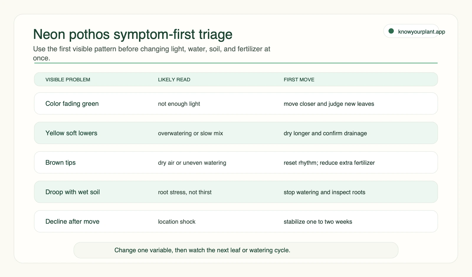 Neon pothos symptom-first triage Neon pothos symptom-first triage for green color fade yellow soft leaves brown tips wet-soil droop and sudden decline
