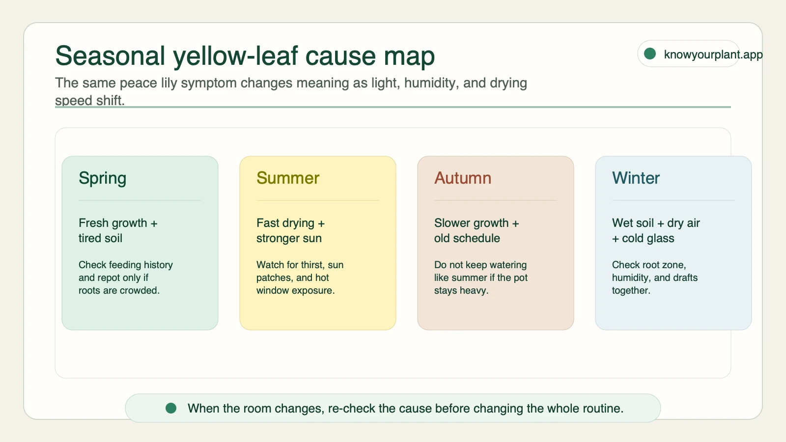 Seasonal yellow-leaf cause map Seasonal yellow leaf cause map for peace lily care across spring, summer, autumn, and winter
