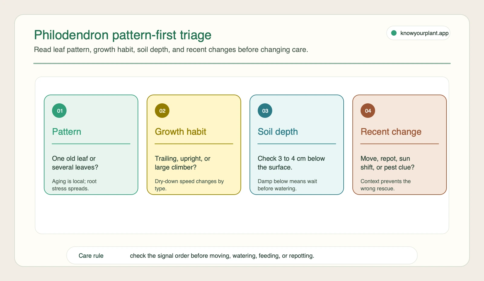 Philodendron pattern-first triage Philodendron care triage cards for leaf pattern, growth habit, soil depth, and recent changes