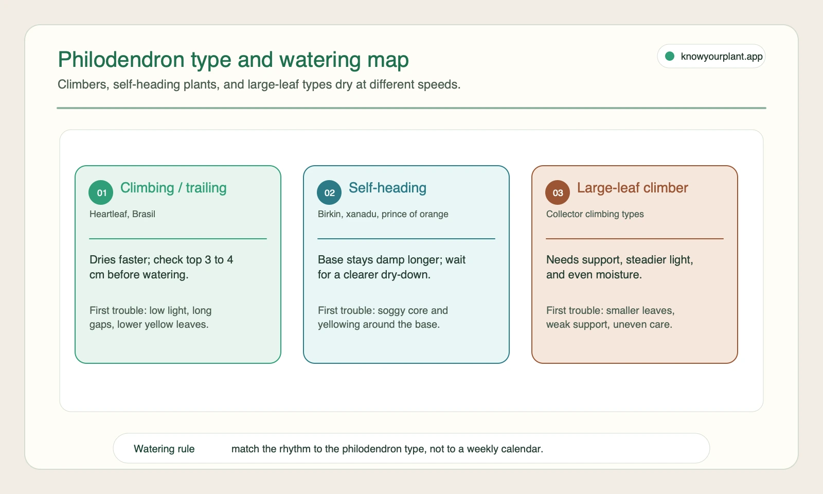 Philodendron type and watering map Philodendron type and watering map comparing climbing, self-heading, and large-leaf philodendrons