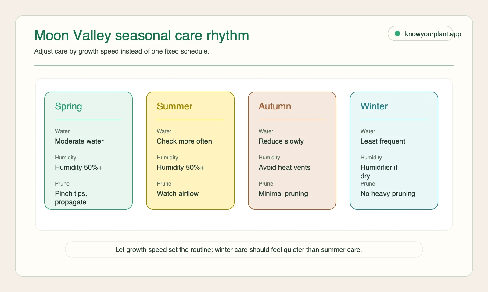 Moon Valley pilea seasonal care rhythm Seasonal care rhythm for Moon Valley pilea comparing spring summer autumn and winter watering humidity and pruning adjustments