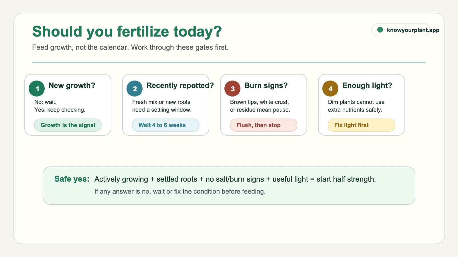 Houseplant fertilizer decision gates showing when to feed, wait, flush, or fix light first
