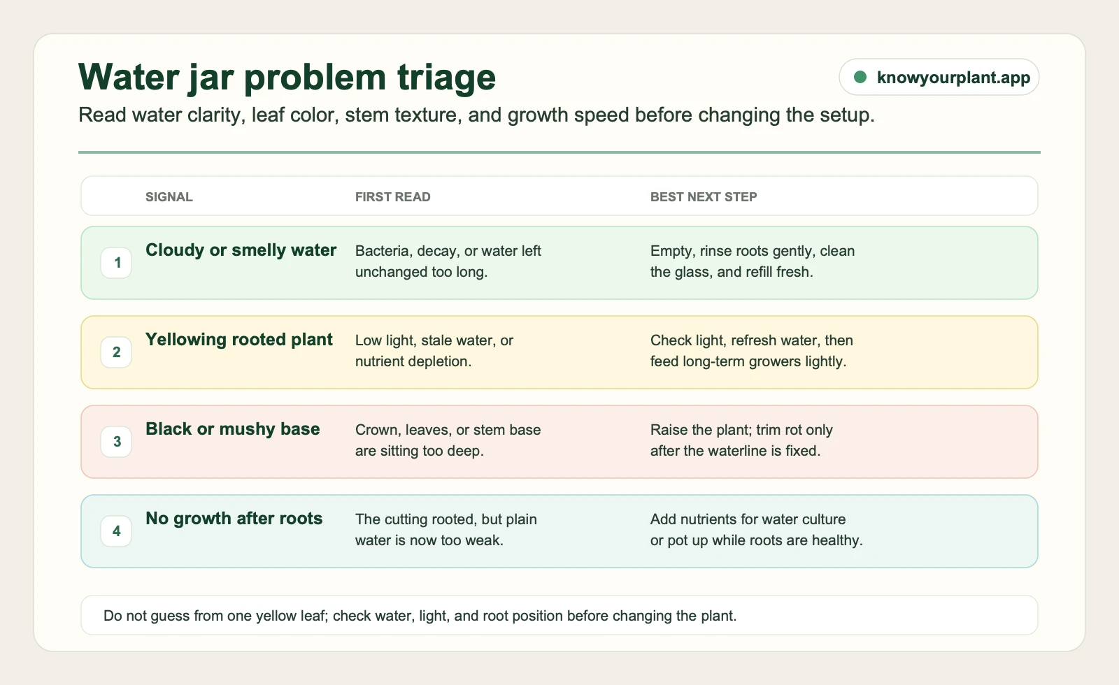 Water-grown plant problem triage mapping cloudy water, yellowing leaves, mushy bases, and stalled growth to first fixes