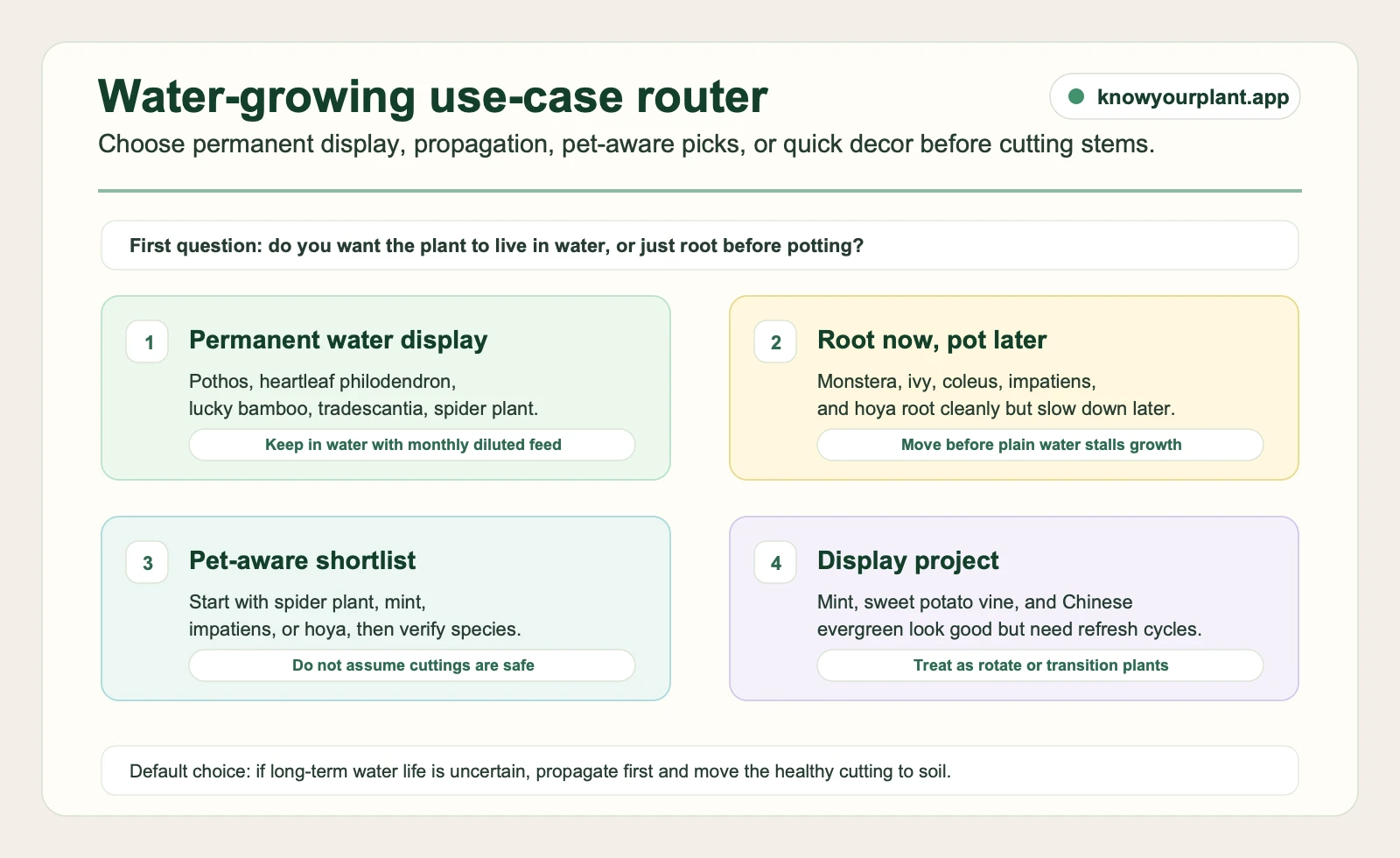 Plants that grow in water use-case router comparing permanent display, propagation-first, pet-aware, and display project choices