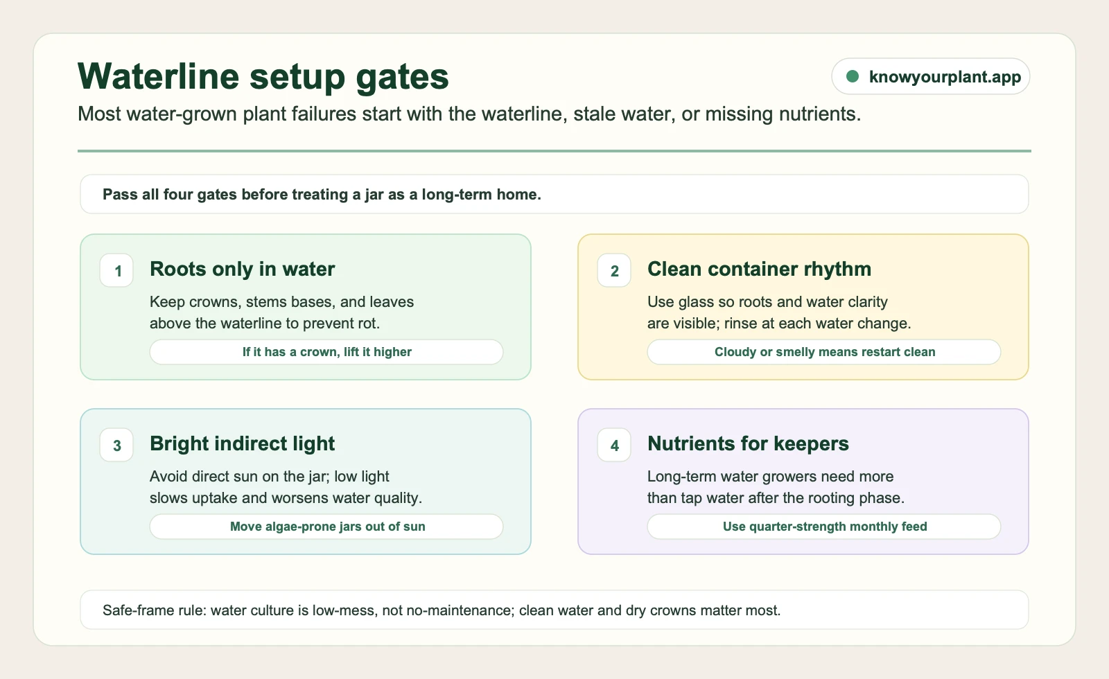 Water-grown plant setup gates for clean container, roots-only waterline, bright indirect light, and diluted nutrients
