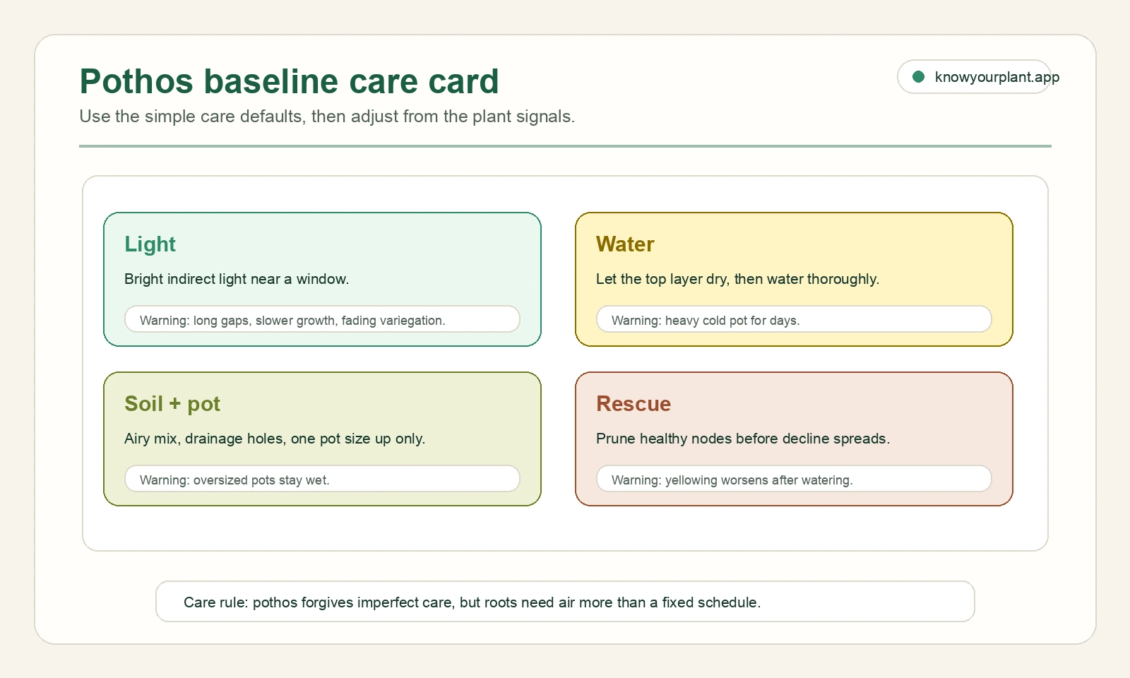 Pothos baseline care card Pothos baseline care card summarizing light, watering, soil and pot setup, and rescue warning signs