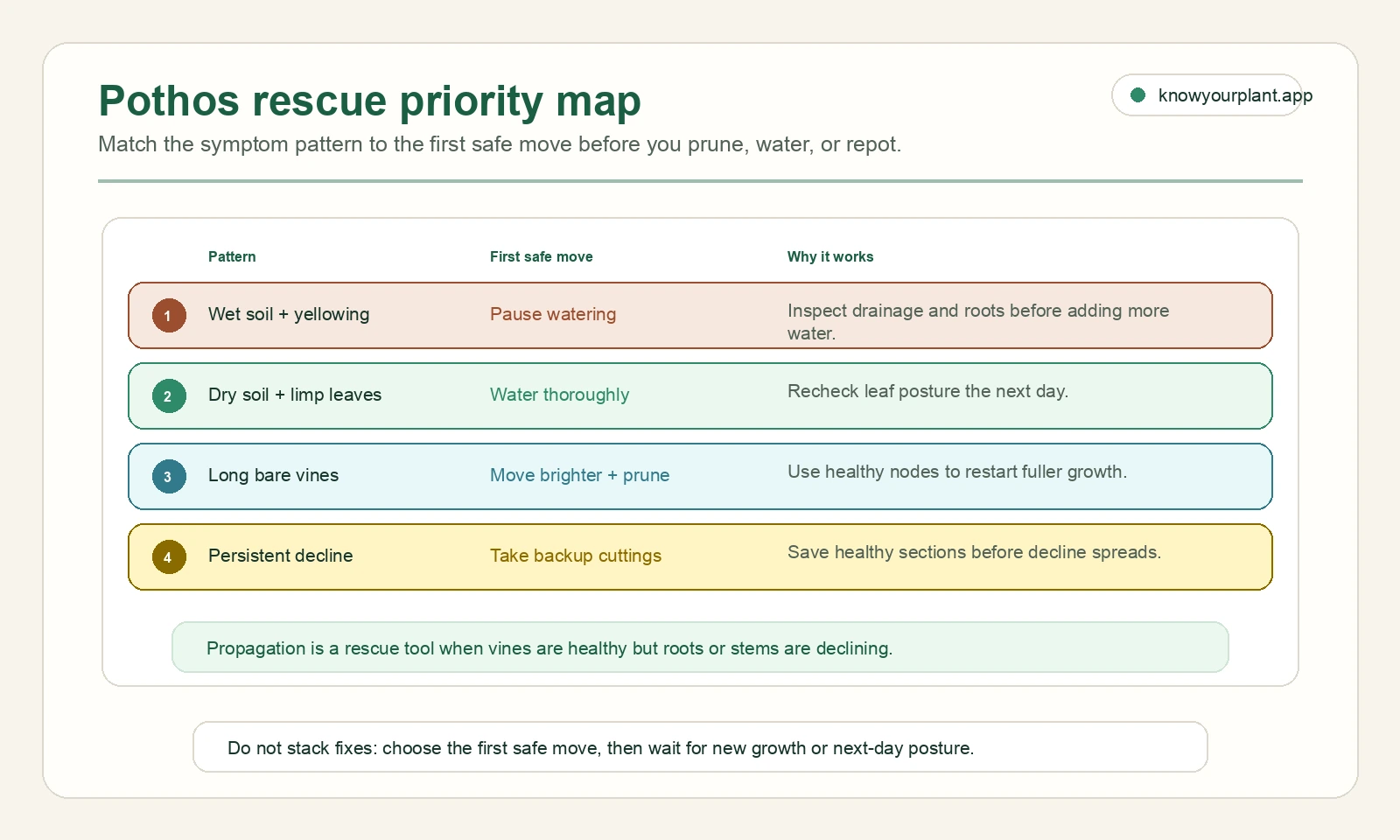 Pothos rescue priority map Pothos rescue priority map matching wet soil, dry soil, bare vines, and persistent decline to first safe moves