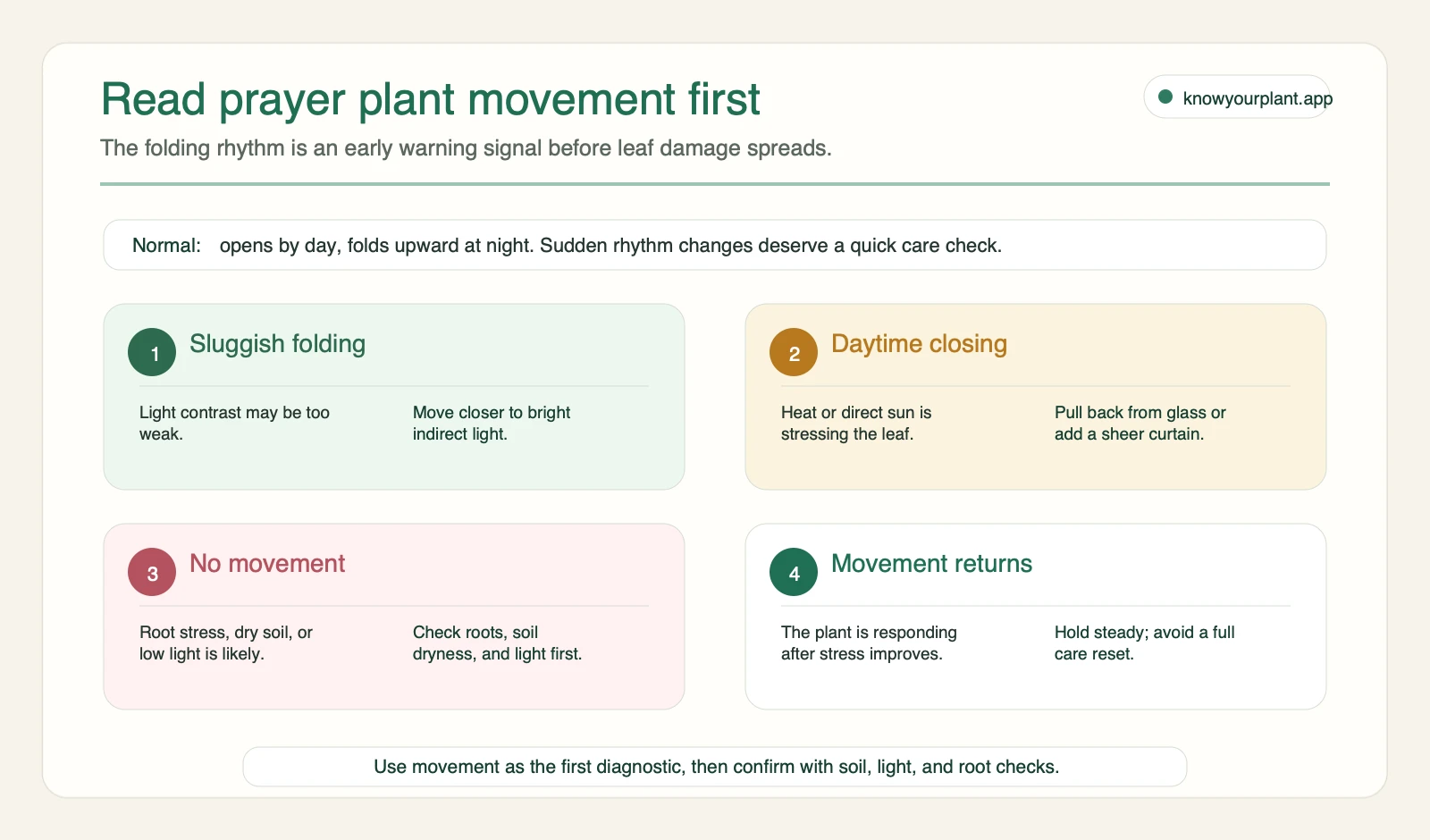Prayer plant movement diagnostic map Prayer plant movement diagnostic map showing sluggish folding, daytime closing, no movement, and recovery signals