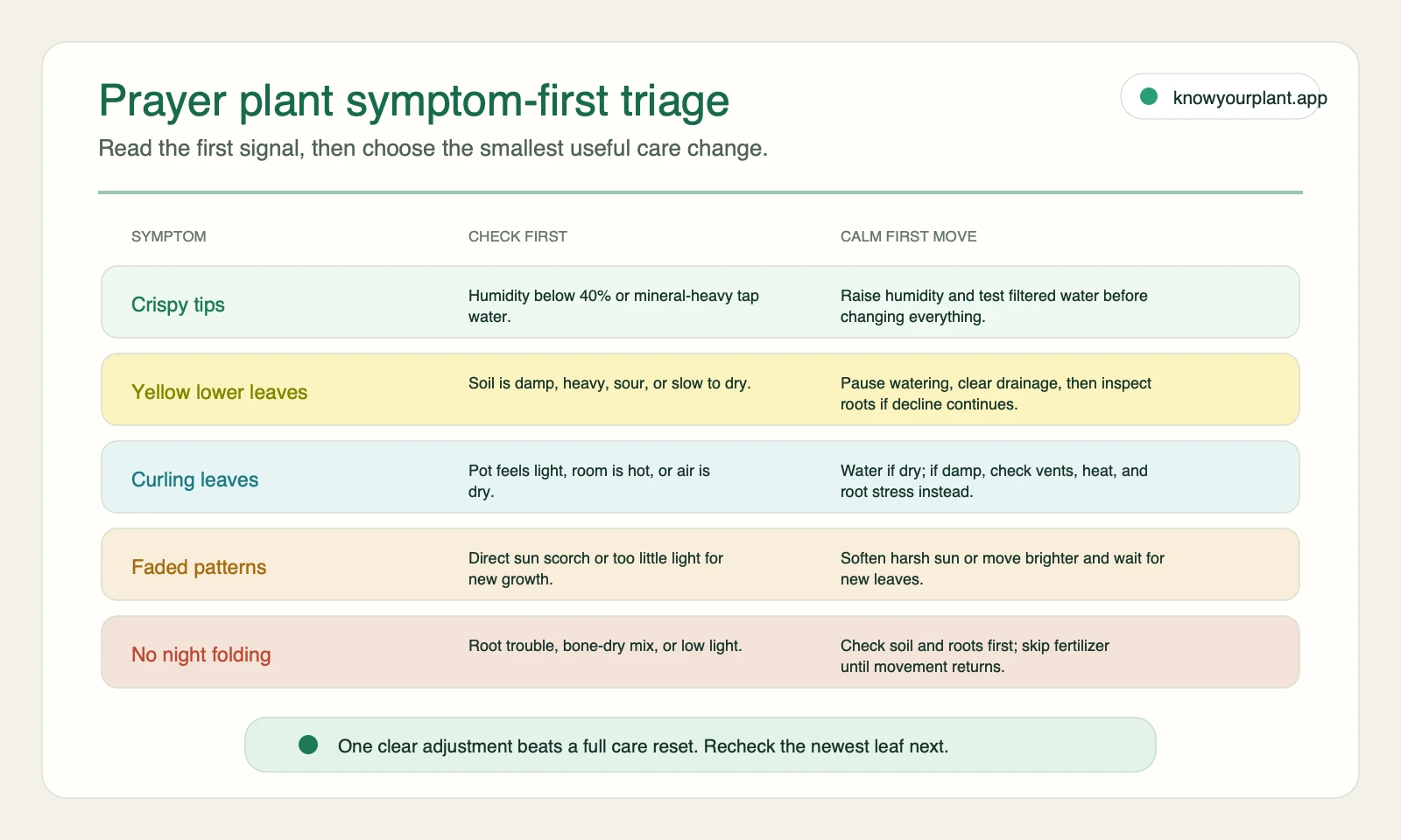 Prayer plant symptom-first triage Prayer plant symptom-first triage for crispy tips, yellow lower leaves, curling leaves, faded patterns, and no night folding