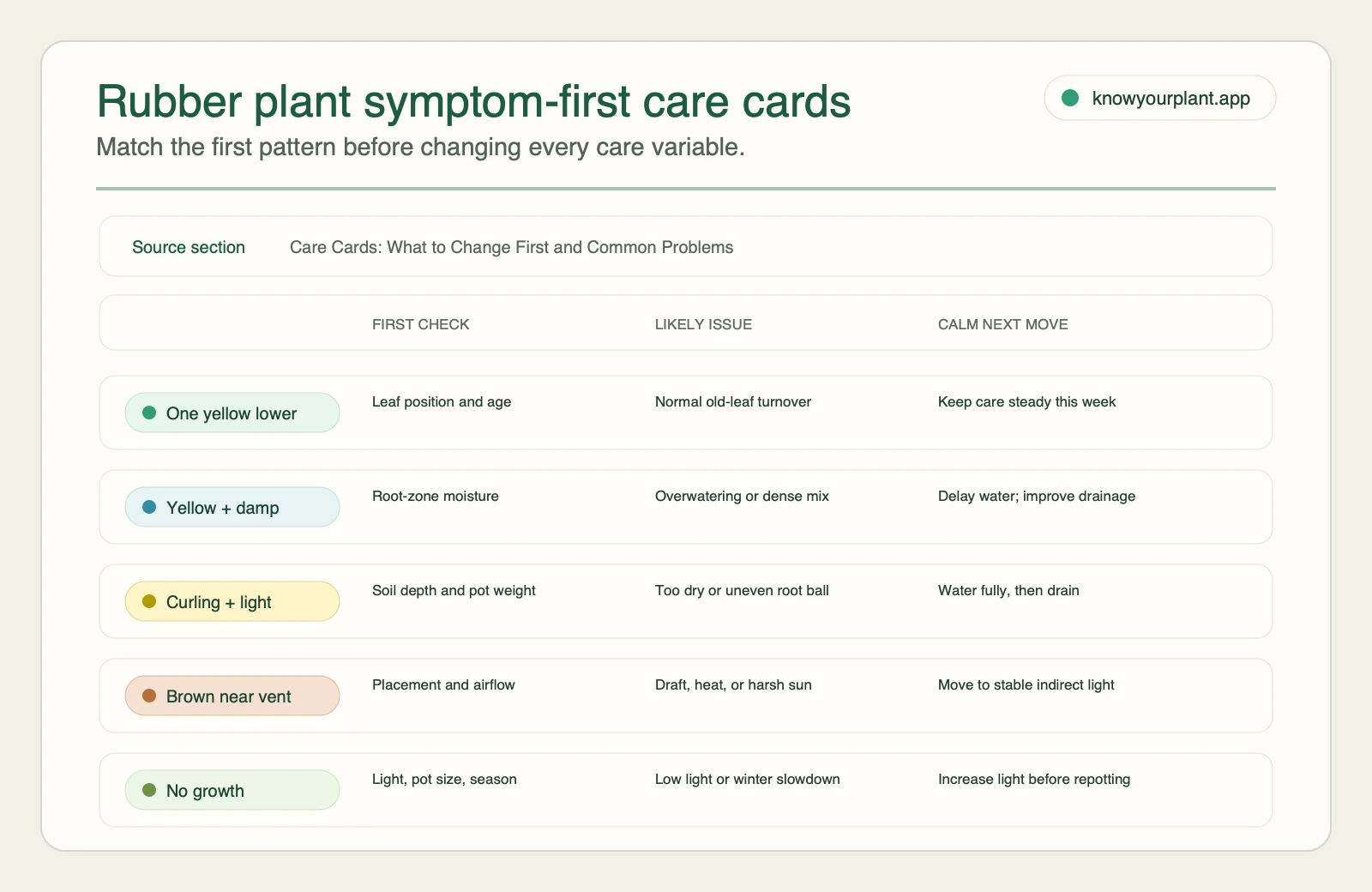 Rubber plant symptom-first care cards Rubber plant symptom-first care cards matching yellow leaves, damp soil, curling leaves, brown edges, and no growth to first checks