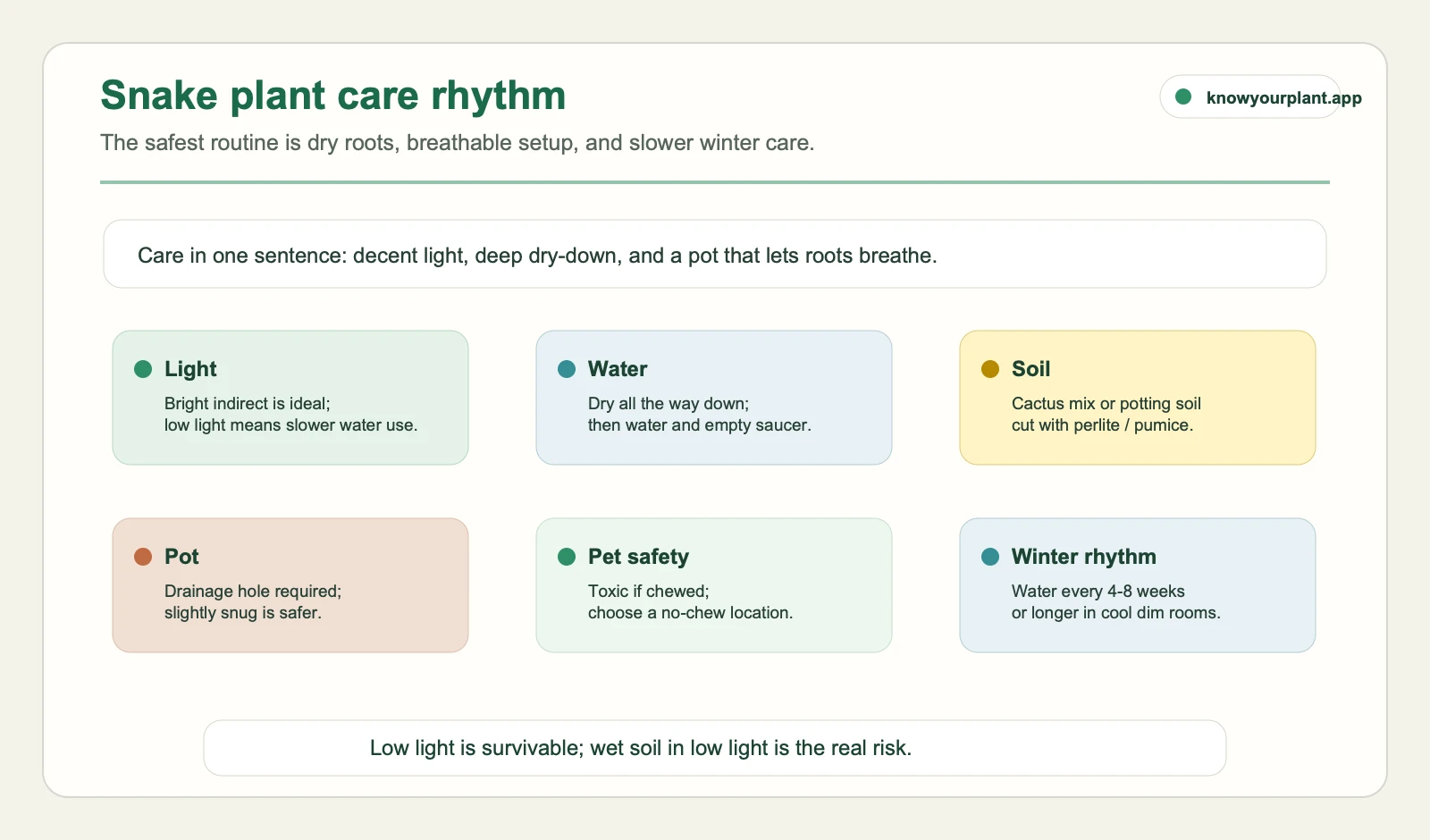 Snake plant care rhythm Snake plant care rhythm card showing light, water, soil, pot, pet safety, and winter care rules