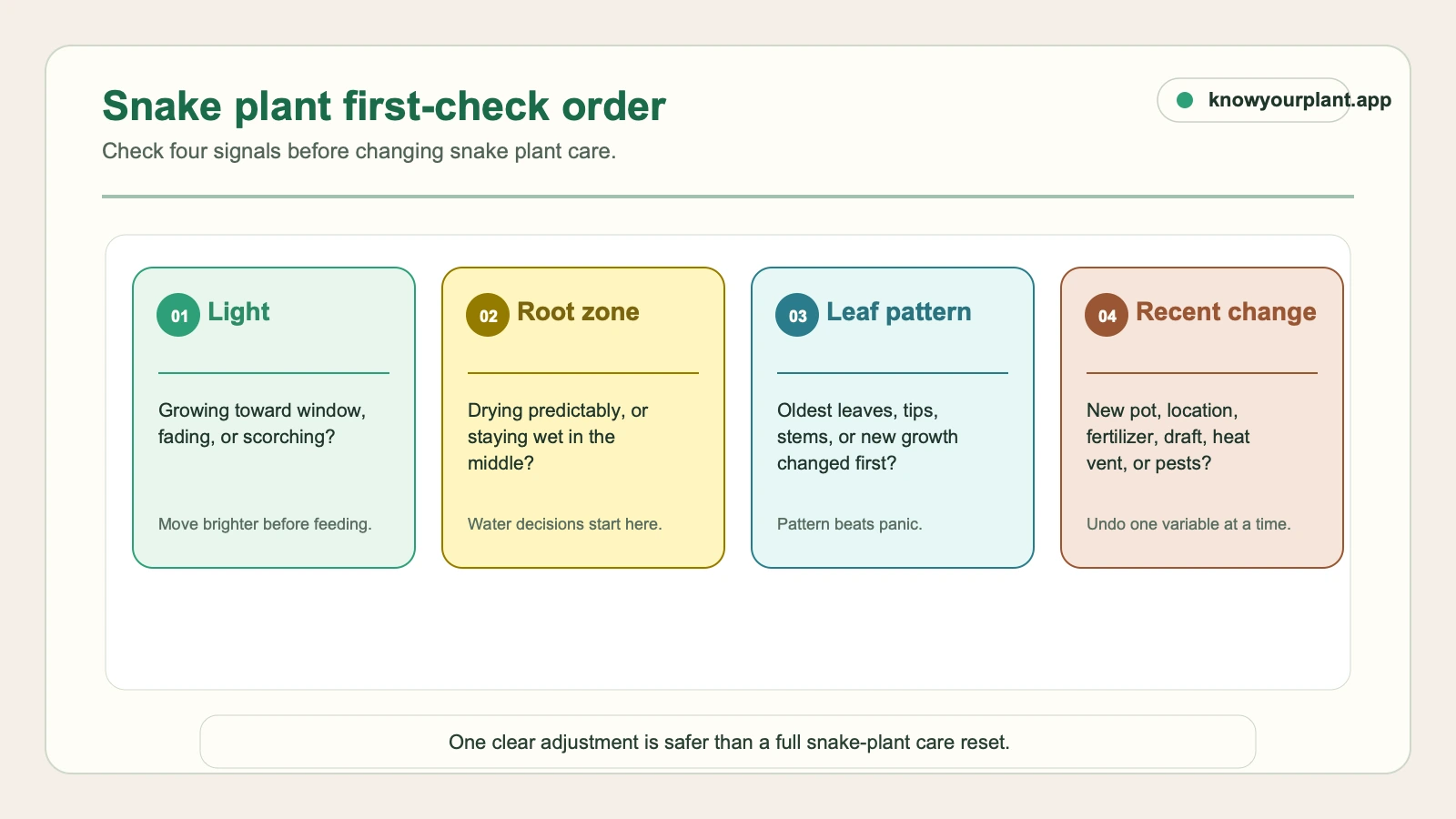 Snake plant first-check order Snake plant first check order for light root zone leaf pattern and recent changes before changing care