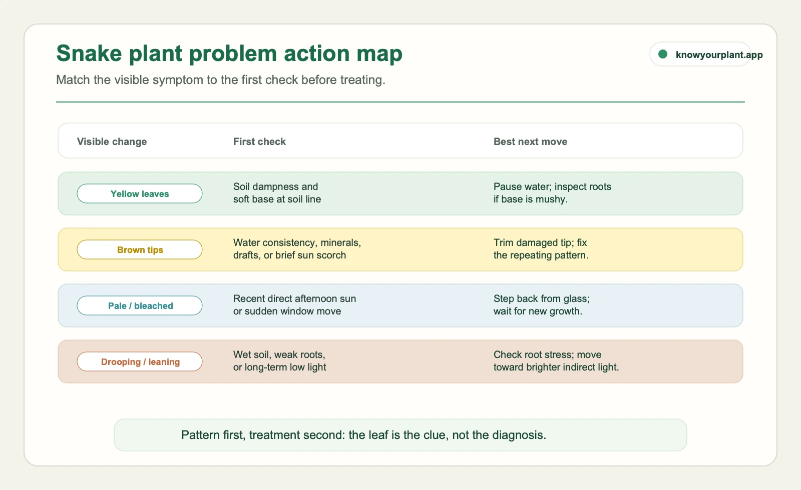 Snake plant problem action map Snake plant problem action map matching yellow leaves, brown tips, pale leaves, and drooping leaves to first checks and actions