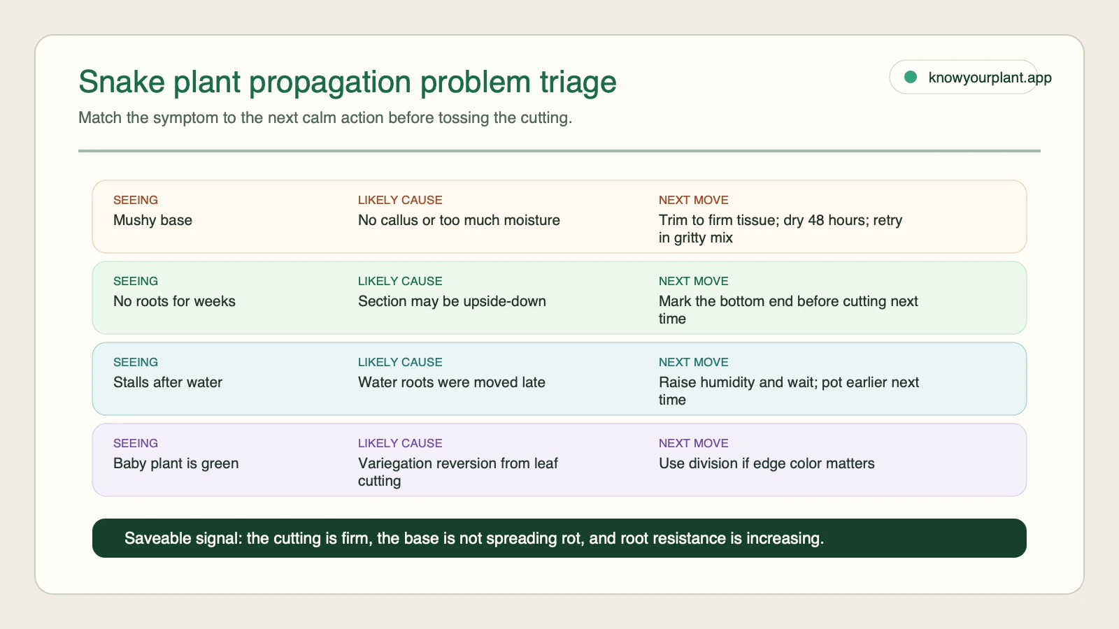 Snake plant propagation problem triage Snake plant propagation problem triage matching mushy base no roots stalled water roots and green baby plants to causes and next actions