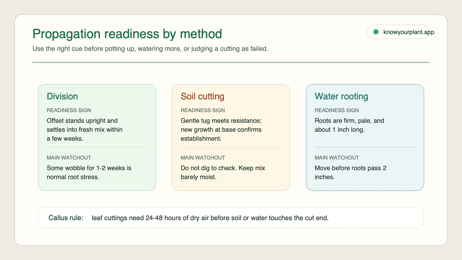 Snake plant propagation readiness by method Snake plant propagation readiness card comparing division soil cutting and water rooting readiness signs and watchouts