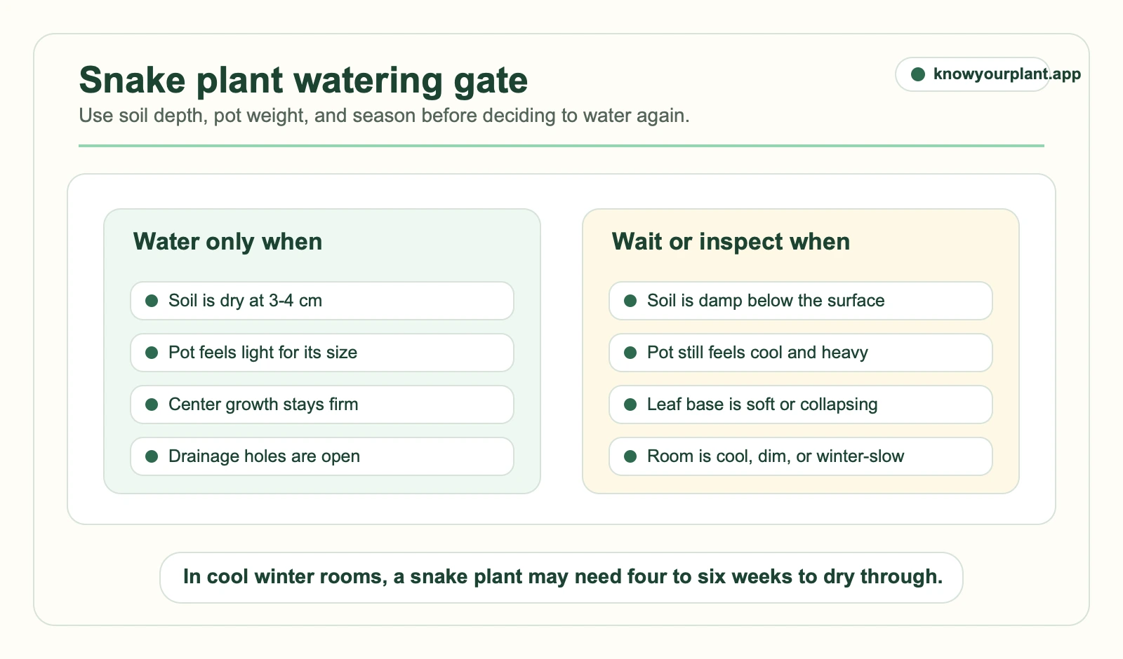 Snake plant watering gate Snake plant watering gate showing soil depth pot weight drainage season and soft leaf base checks before watering