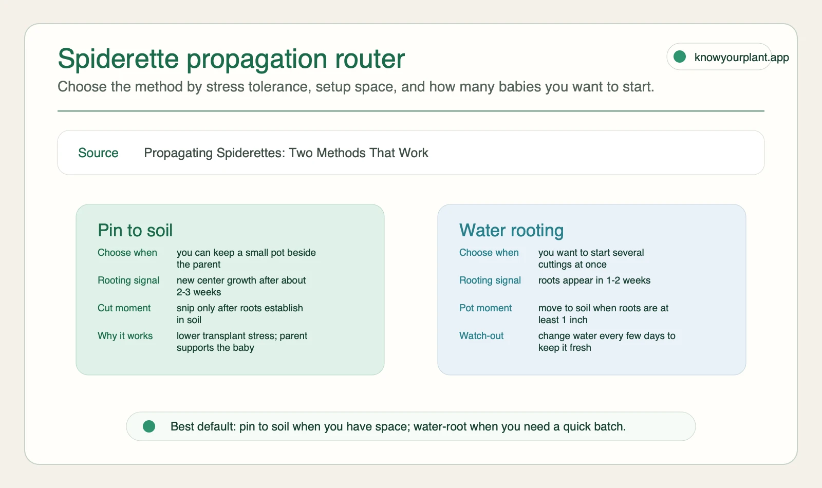 Spiderette propagation router comparing pin to soil and water rooting methods