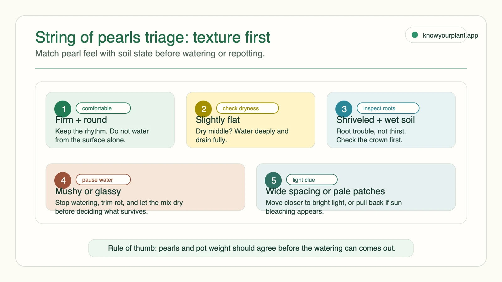 String of pearls triage map matching pearl texture soil state and light clues to the safest next action