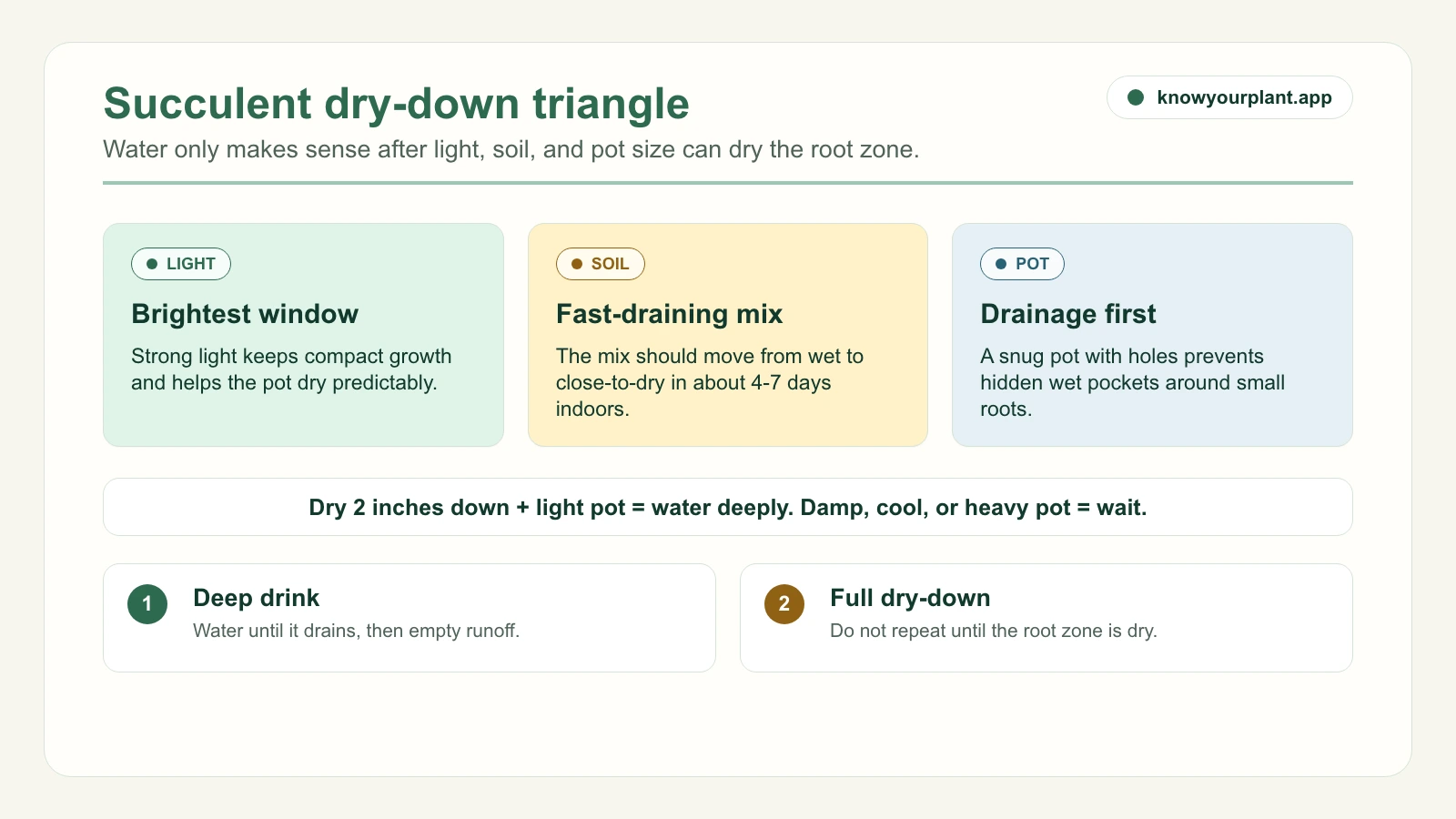 Succulent dry-down triangle Succulent dry down triangle showing light soil and pot size checks before watering