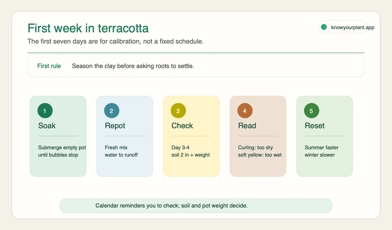 First week in terracotta First week terracotta pot checklist for soaking repotting soil checks and leaf signals