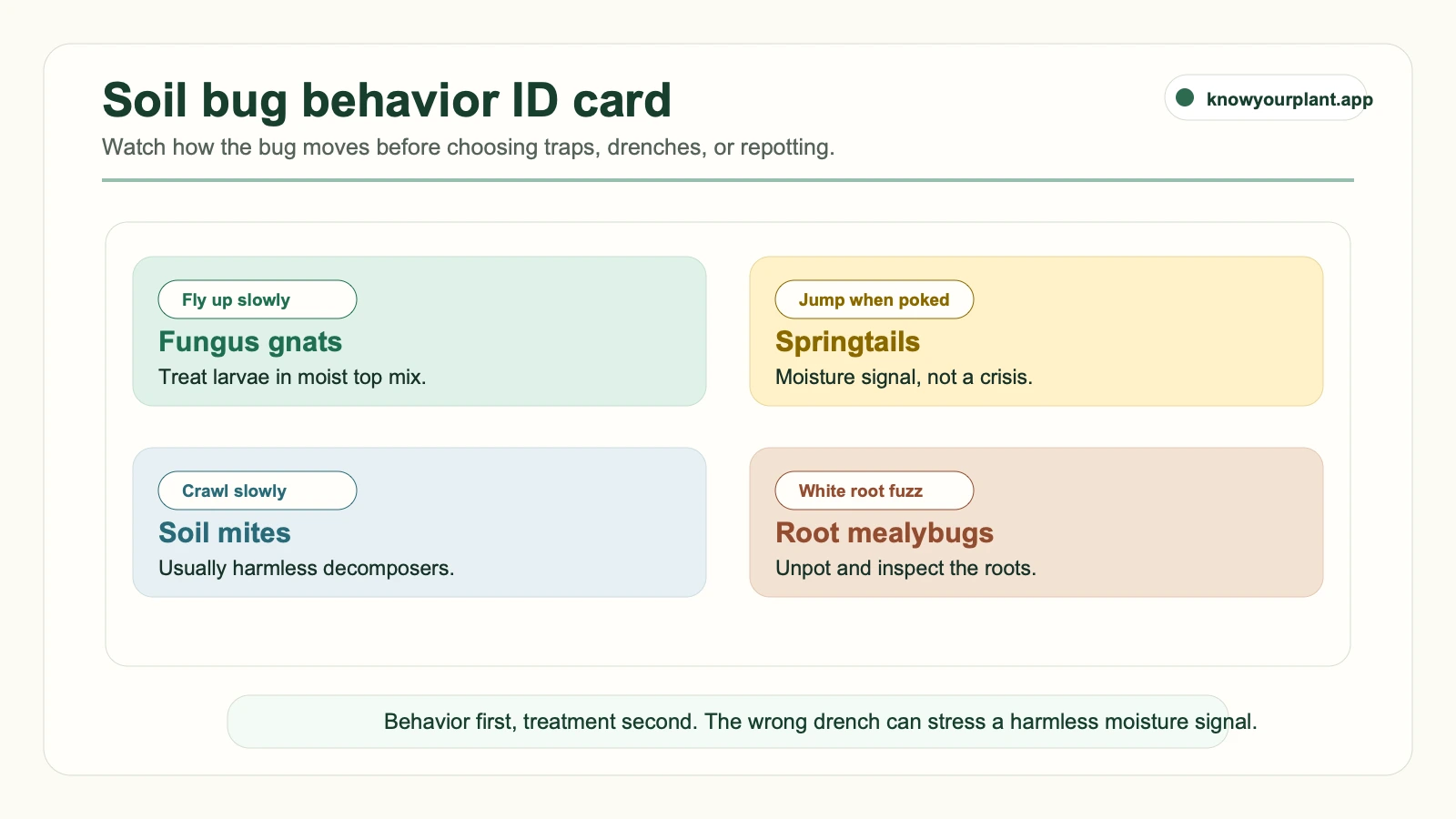 Soil bug behavior ID card Soil bug behavior ID card comparing fungus gnats, springtails, soil mites, and root mealybugs by movement and first check
