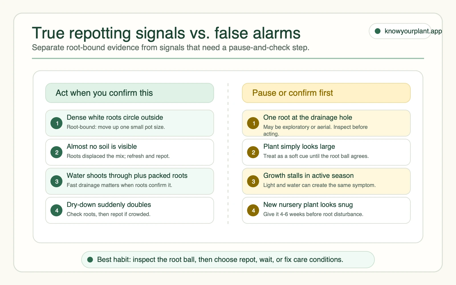 True repotting signals vs. false alarms True repotting signals versus false alarms separating confirmed root-bound evidence from cues that need inspection first
