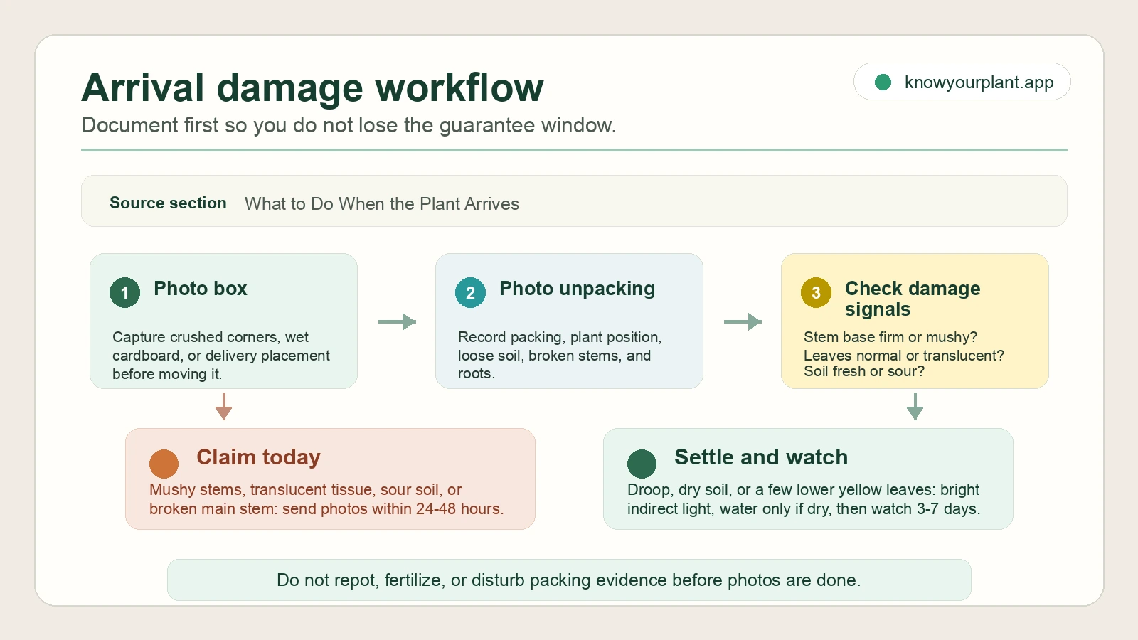 Arrival damage workflow Arrival damage workflow showing photo documentation, damage checks, claim-today signals, and settle-and-watch signals