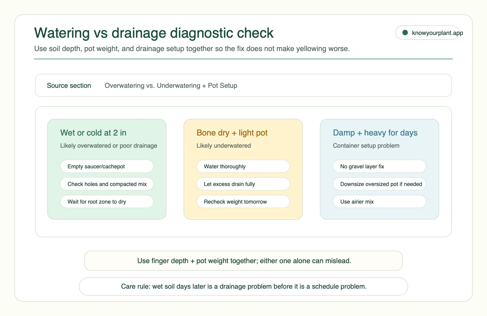 Watering versus drainage diagnostic check for monstera yellow leaves using soil depth pot weight and drainage setup