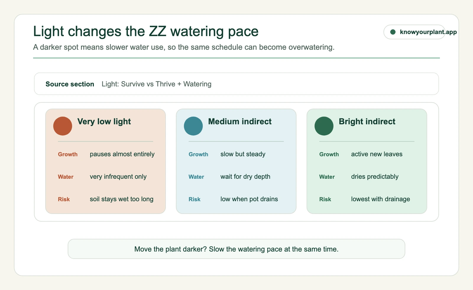 ZZ plant light and watering pace map comparing very low medium indirect and bright indirect light