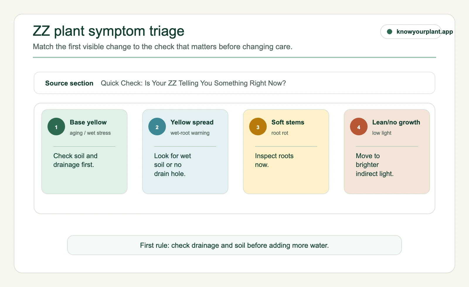 ZZ plant symptom triage mapping yellow leaves soft stems and low light signals to first checks