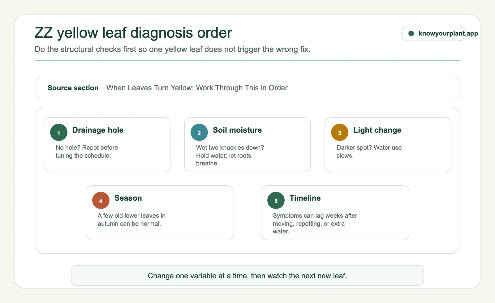 ZZ plant yellow leaf diagnosis order checking drainage soil moisture light season and timeline