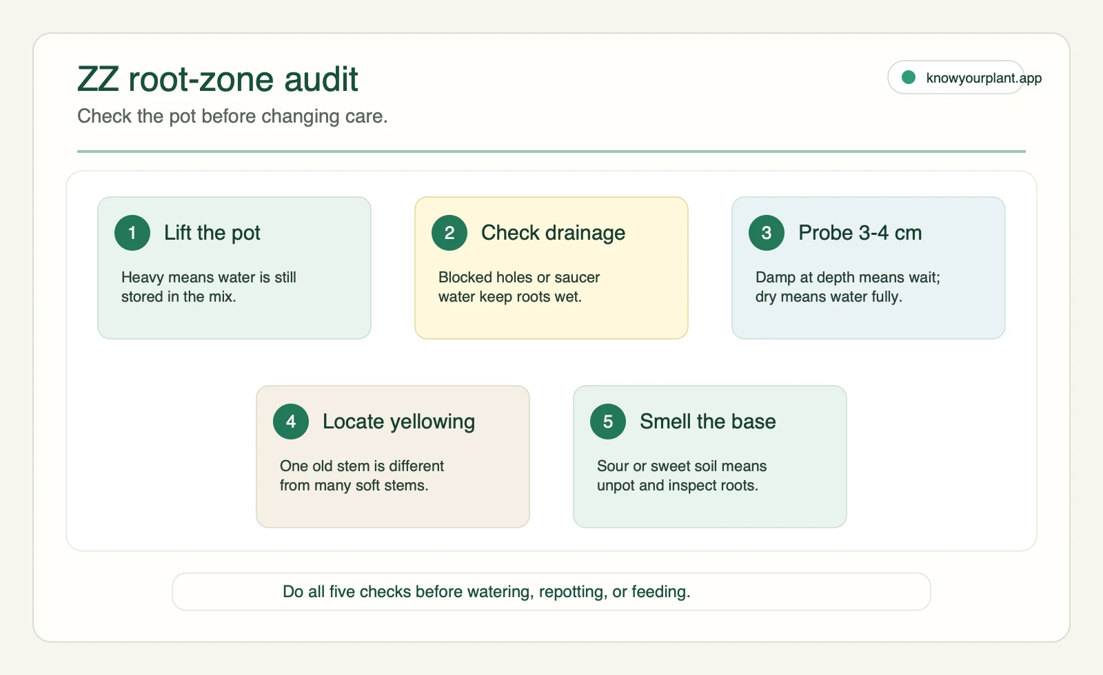 ZZ plant root-zone audit ZZ plant root zone audit checklist for pot weight drainage soil depth yellowing location and soil smell