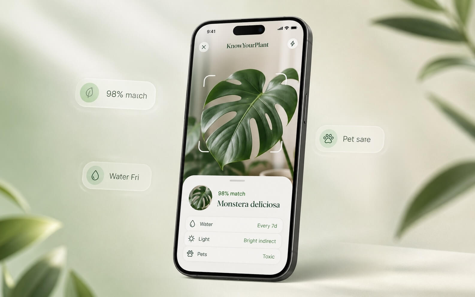 휴대폰 카메라로 몬스테라를 식별하는 KnowYourPlant